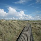 Falckografie: Amrum - Freiheit und Stille