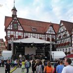 " Falco - Band Austria Festival in Bad Urach * Vienna Calling "