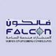 Falcon Survey