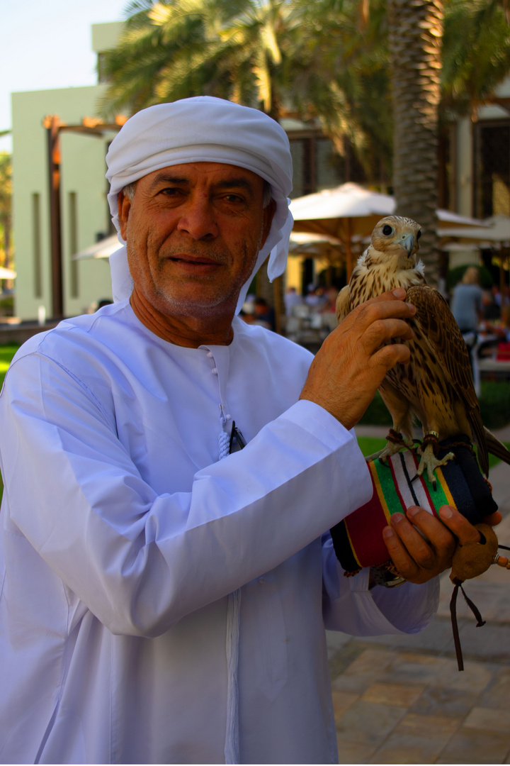 Falconer Abu Dhabi UAE (2)