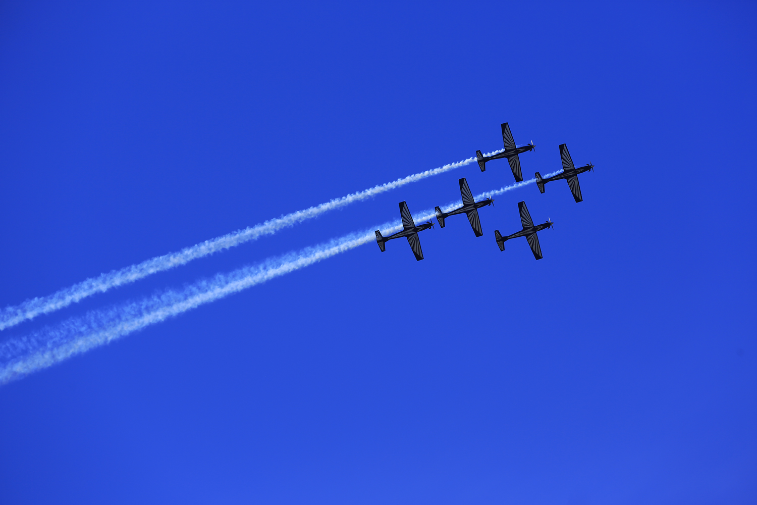 Falcons ~ Airshow ~ Stellenbosch wine Region