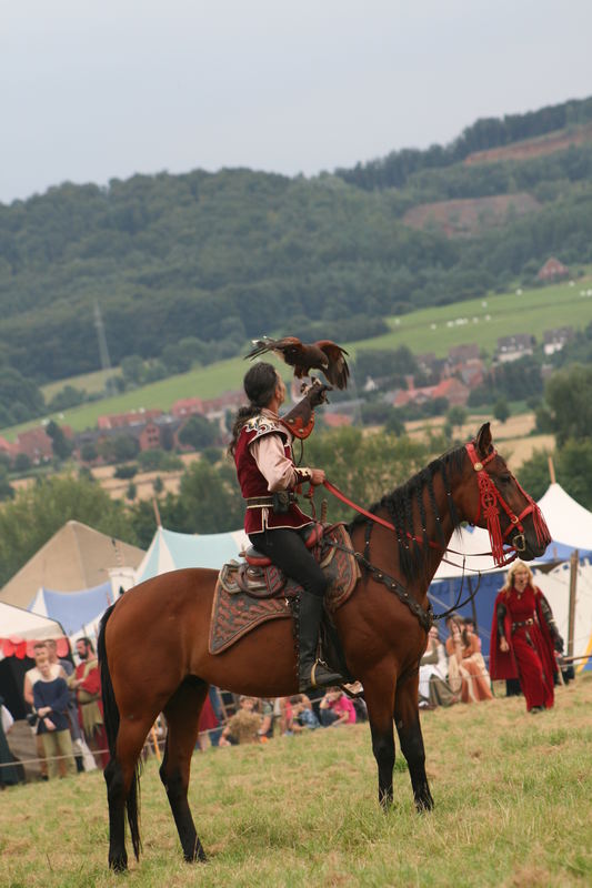 Falke im Mittelalter