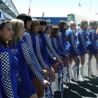 Falken Grid Girls