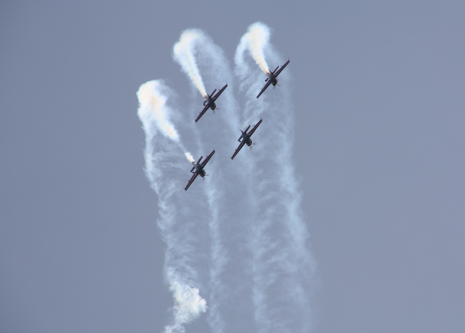 Falken im Anflug