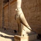 Falkenartige Horusstatue im Tempel von Edfu