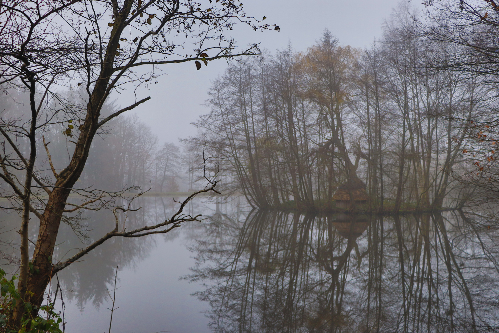 Falkenburg Fischteich im Nebel