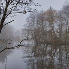 Falkenburg Fischteich im Nebel