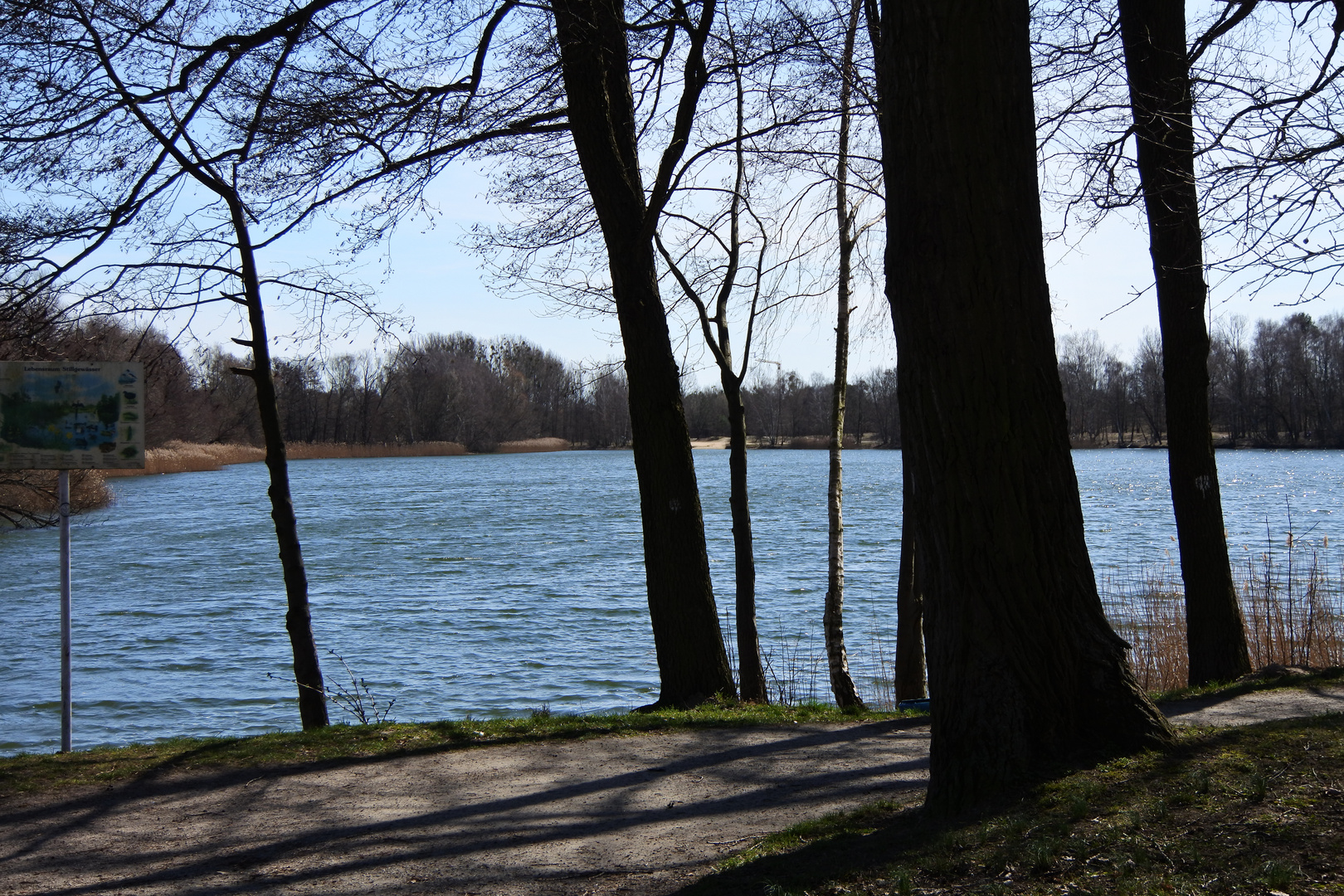 Falkenhagener See in Falkensee