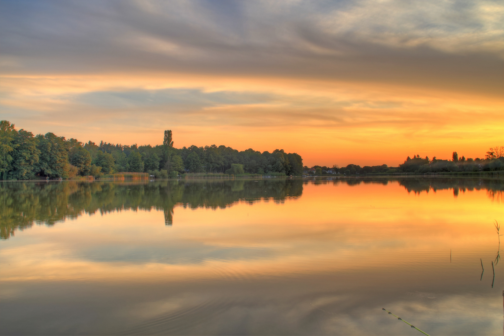 Falkenhagener See in Gelb