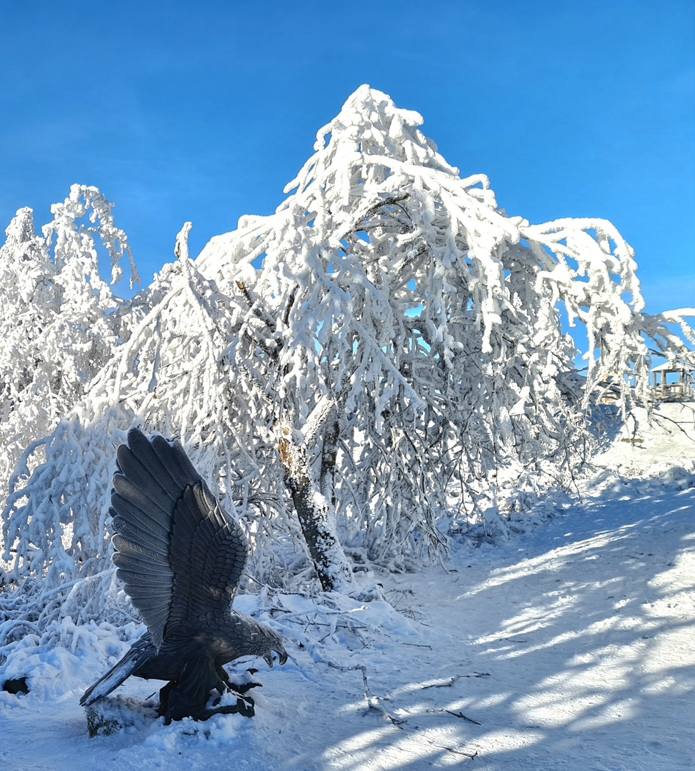 Falkenhof am Feldberg