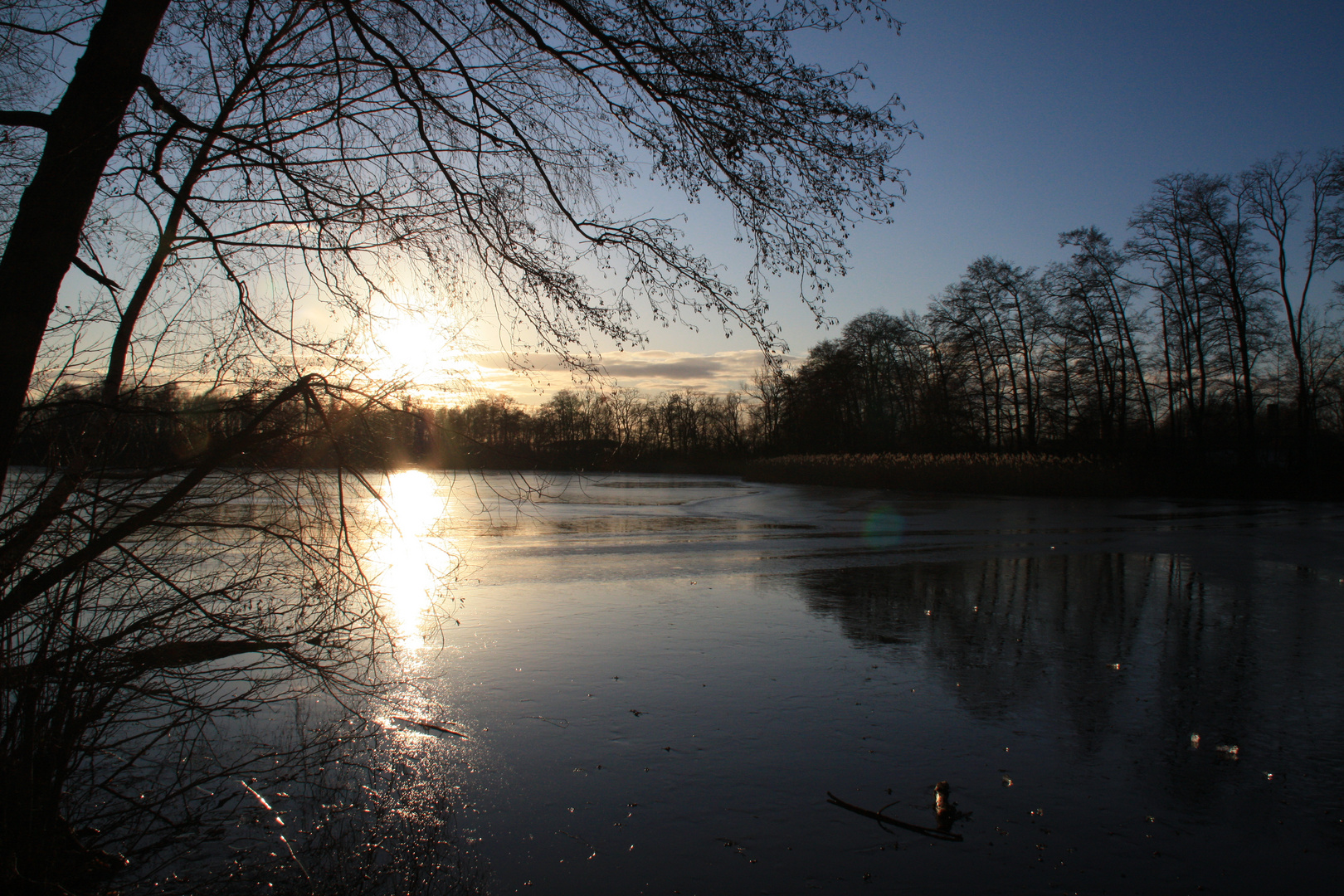 Falkensee