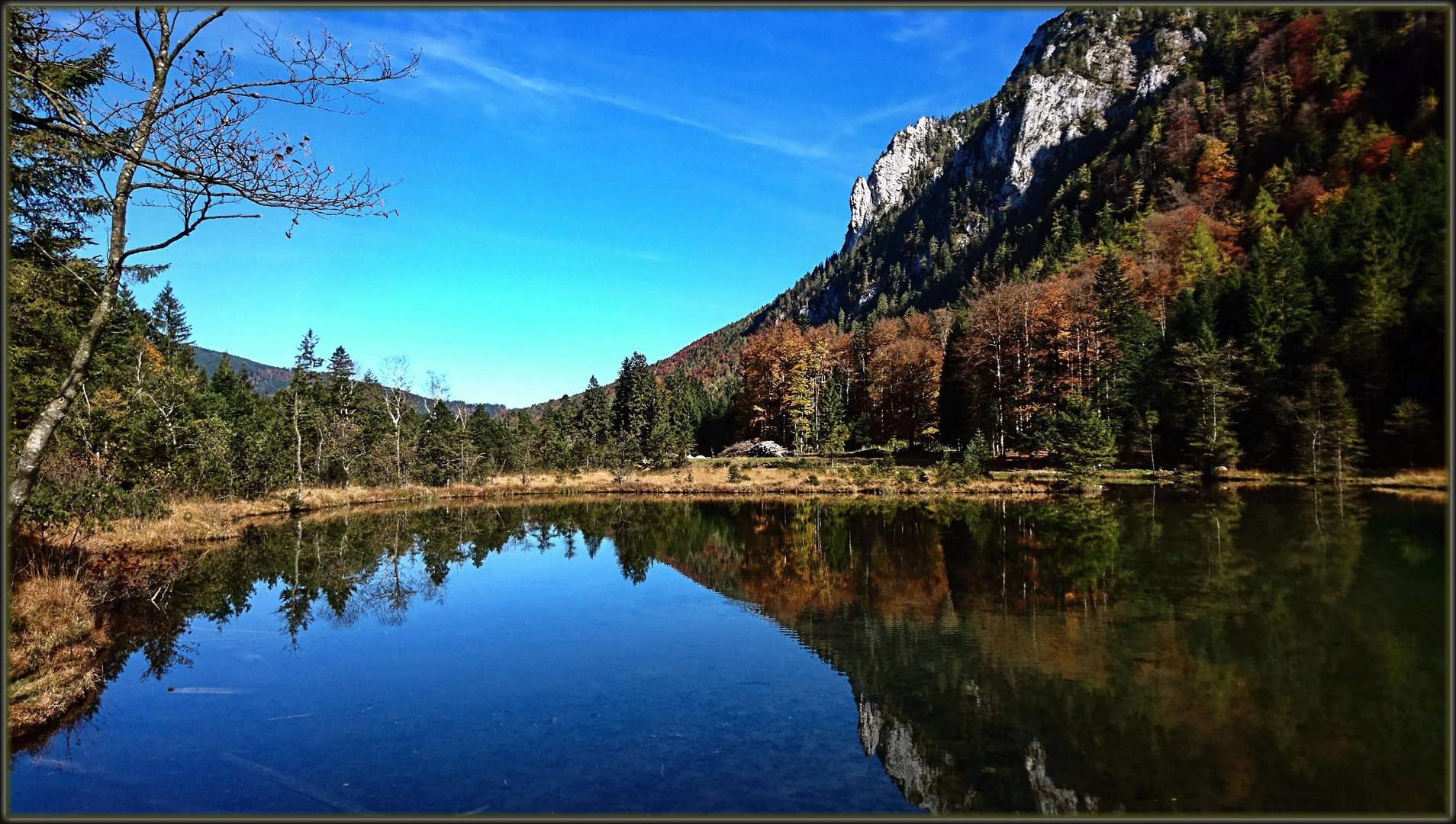 Falkensee bei Inzell Foto & Bild deutschland, europe, bayern Bilder