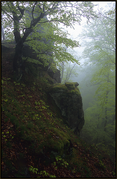 Falkenstein