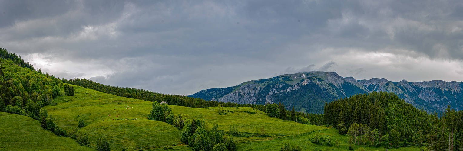 Falkenstein Alm, Mürzsteg, Steiermark