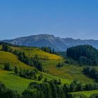 Falkenstein Alm, Steiermark, Oberes Mürztal