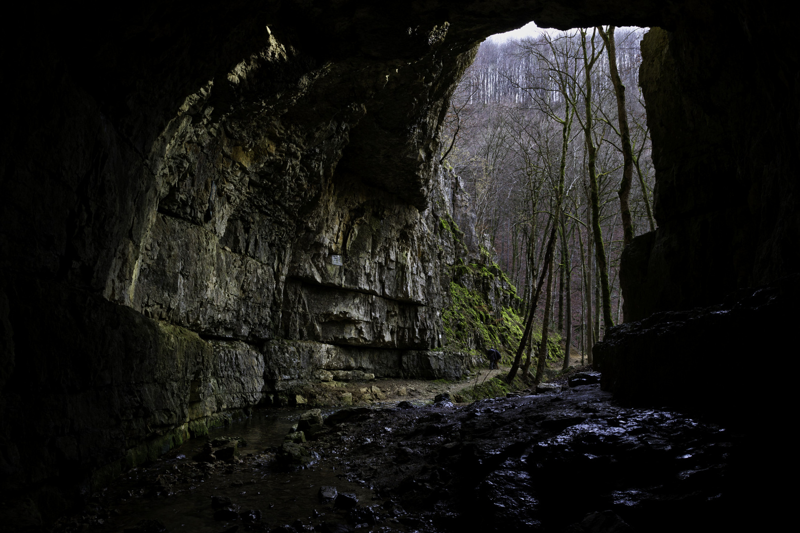 Falkensteiner Höhle