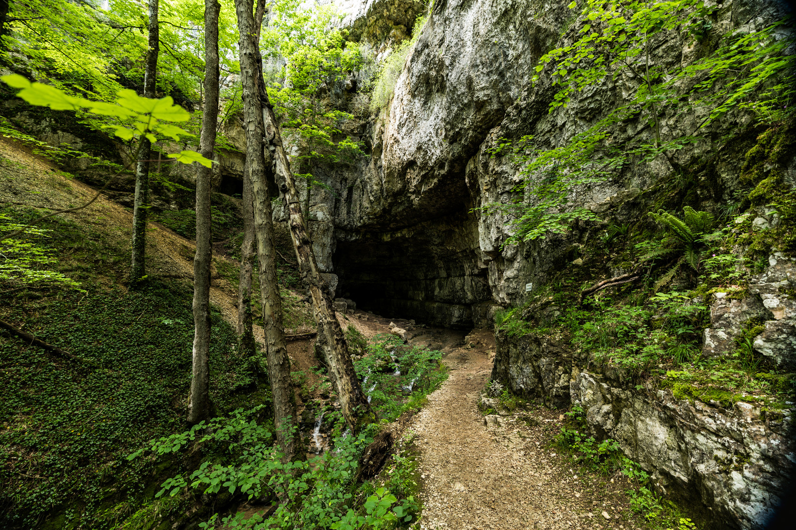 Falkensteiner Höhle I