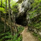 Falkensteiner Höhle I