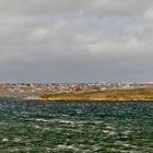Falkland Insel