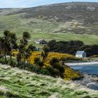 Falkland Inseln, West Point Island