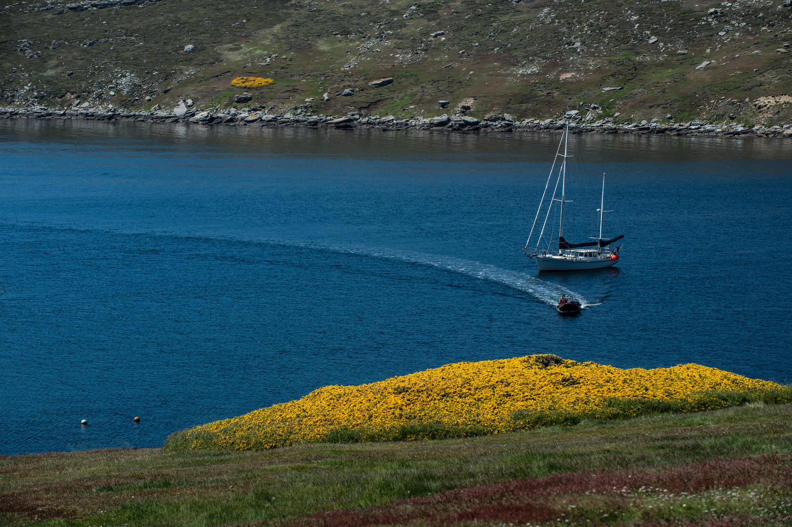 Falkland Inseln, West Point Island