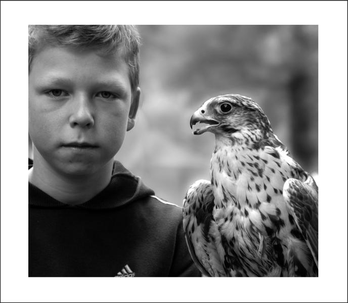 Falkner Foto & Bild portrait, menschen Bilder auf