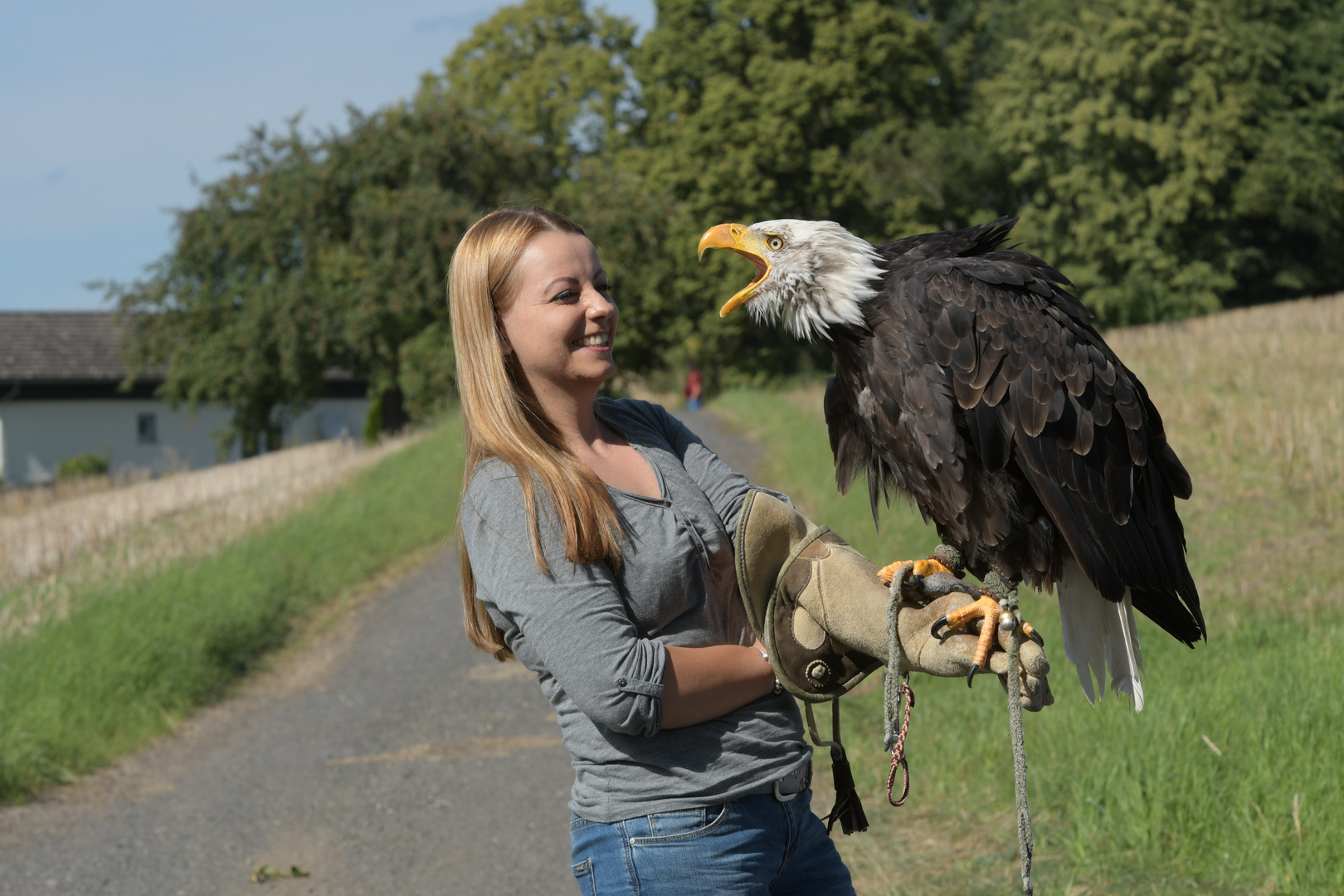 Falkner Erlebnistag