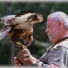 Falkner im Wildpark Gangelt