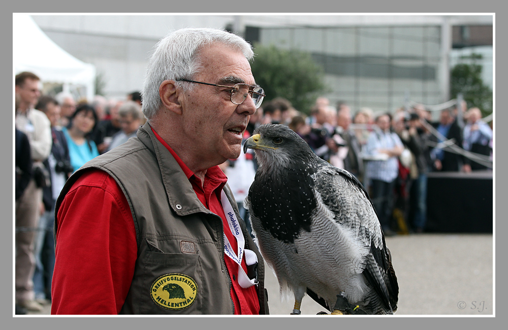 Falkner mit Blaubussard 2