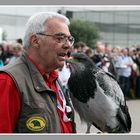 Falkner mit Blaubussard 2