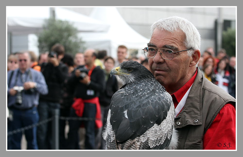 Falkner mit Blaubussard