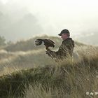 Falkner mit einem Harris Hawk