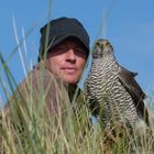 Falkner mit Habicht in den Dünen von Norderney