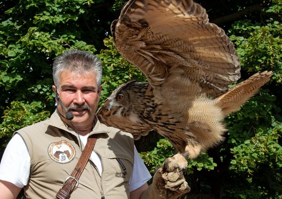 Falkner mit Uhu Augustusburg 