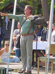 Falkner mit Weißkopfseeadler