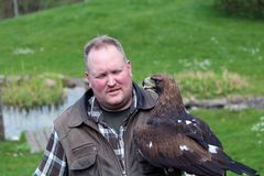 Falkner Wolfgang mit Steinadler "Zar" im Wildpark Lünebürger Heide