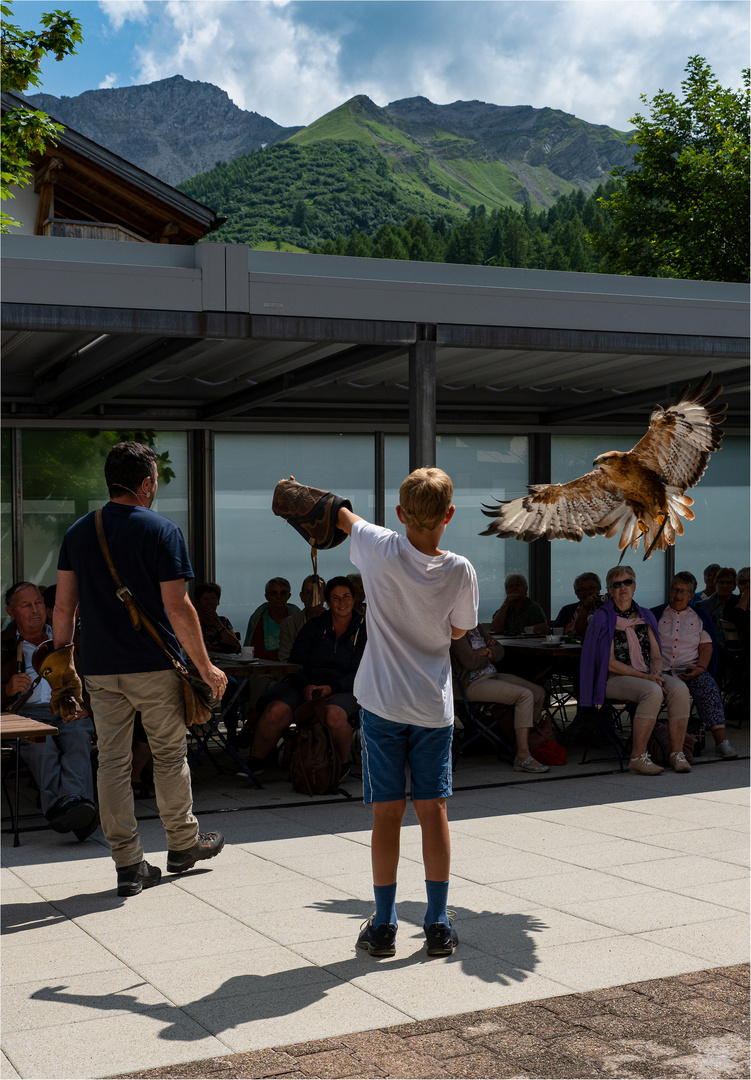 Falknerei in Malbun (Mäusebussard)