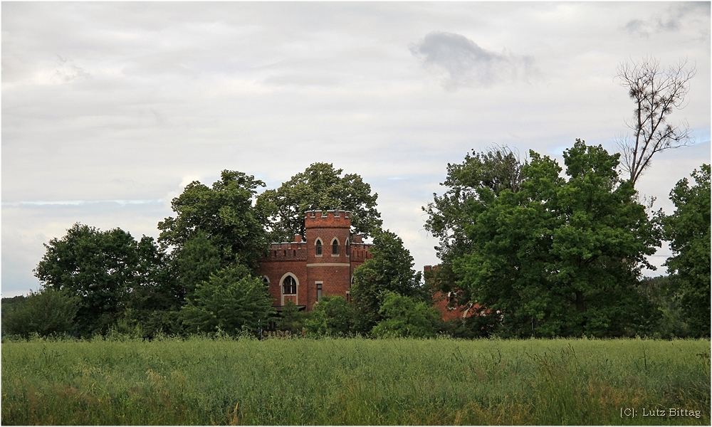 Falknerei Wörlitz