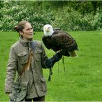 Falknerin mit Weißkopfseeadler (2)