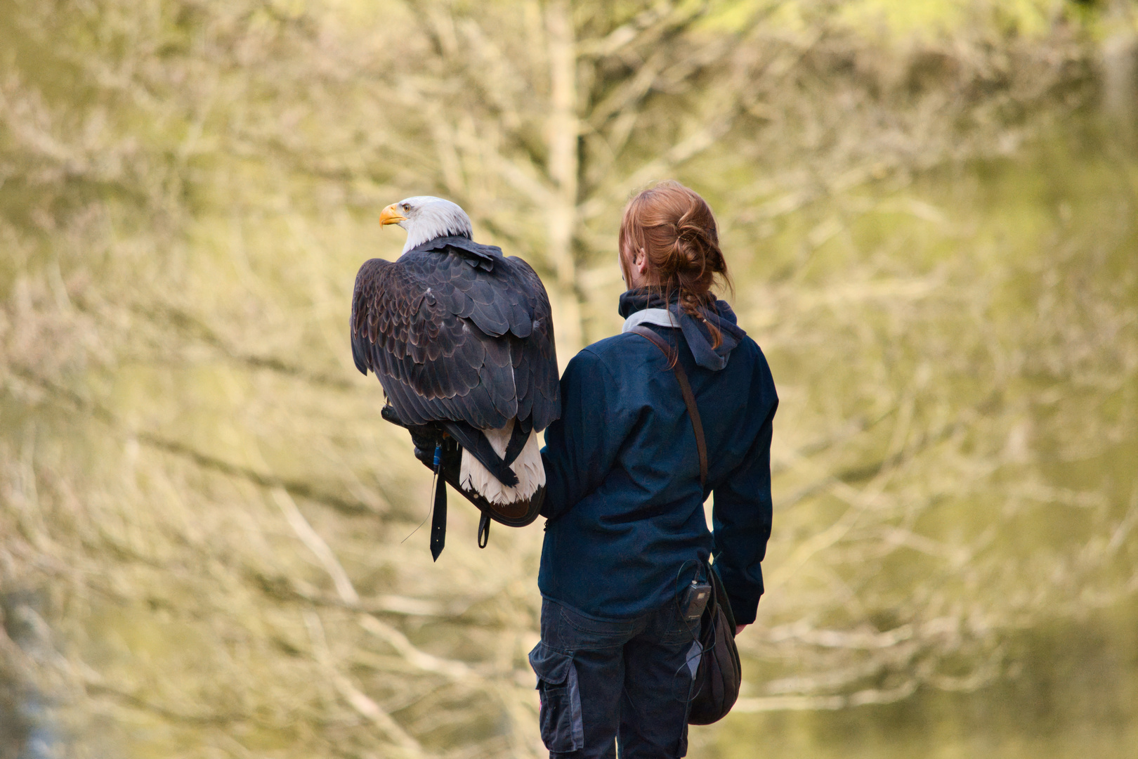 Falknerin mit Weißkopfseeadler