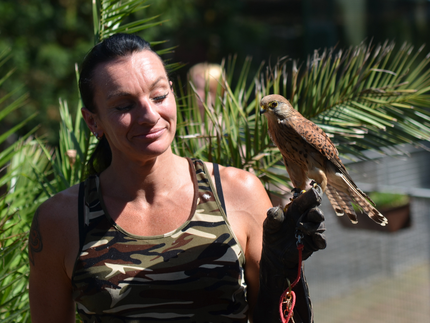 Falknerin Tanja mit ihrem Liebling