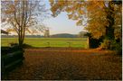 Fall 2012 by MsrLandscapes 