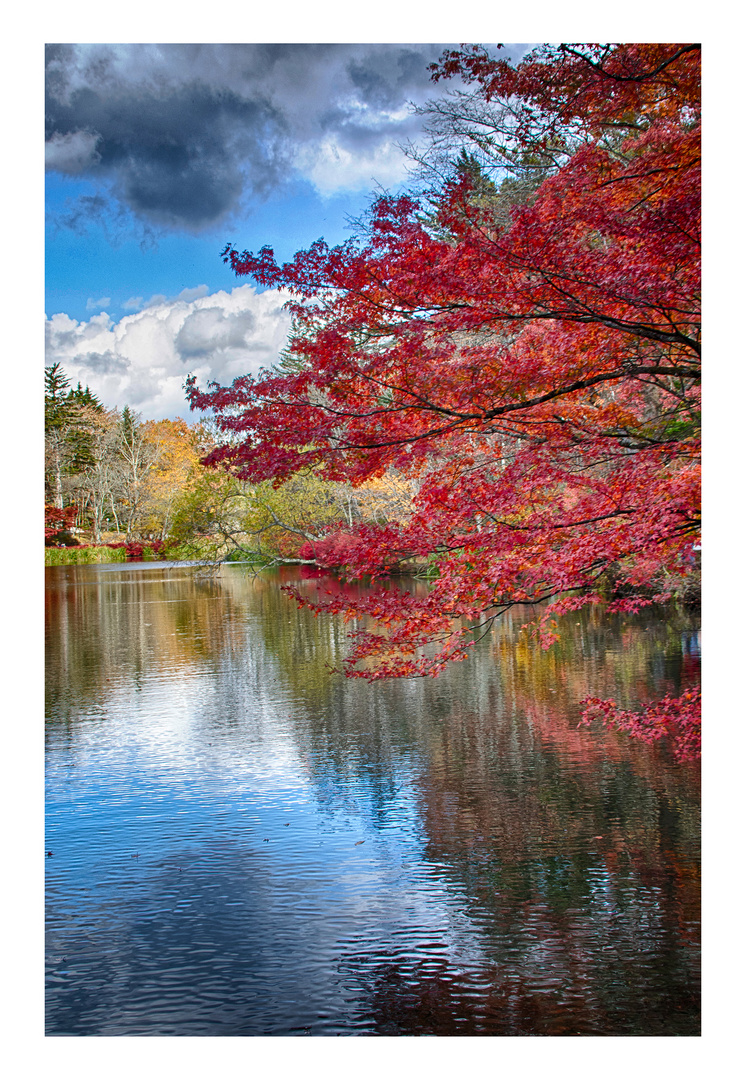 FALL- 2015 #13
