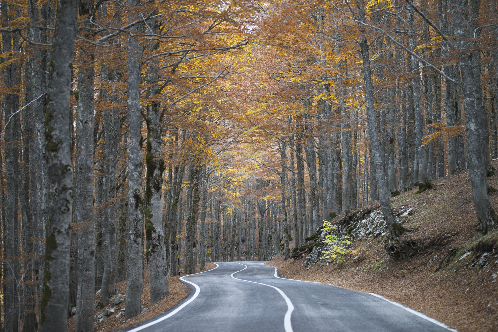 Fall 2021 foliage - Autunno 2021, Abruzzo