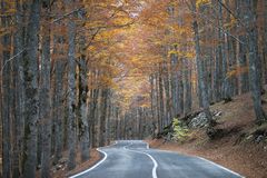 Fall 2021 foliage - Autunno 2021, Abruzzo