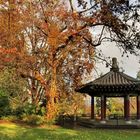 Fall and the Korean Gazebo