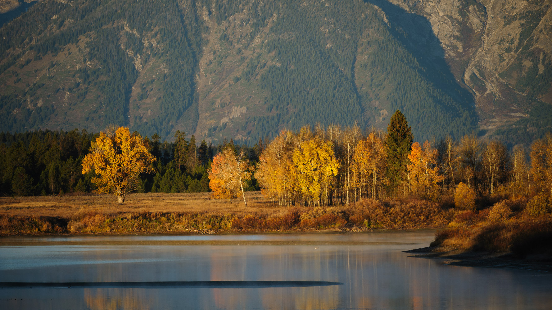 Fall at Oxbow Bend