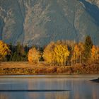 Fall at Oxbow Bend