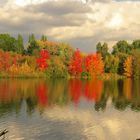 Fall at Trout Lake