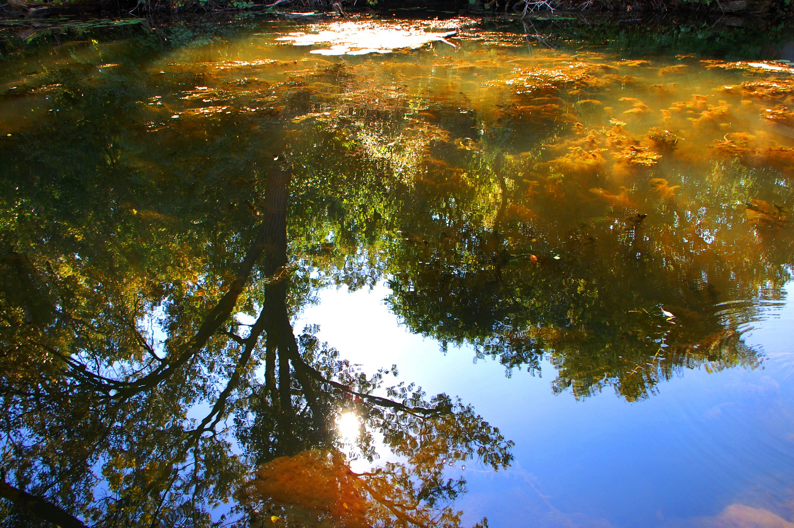 Fall Begins in a Reflection